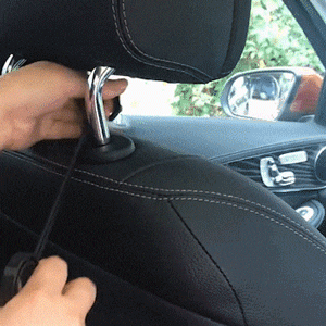 Organized & Protected Ride