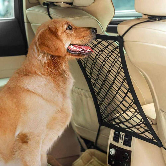 Organized & Protected Ride